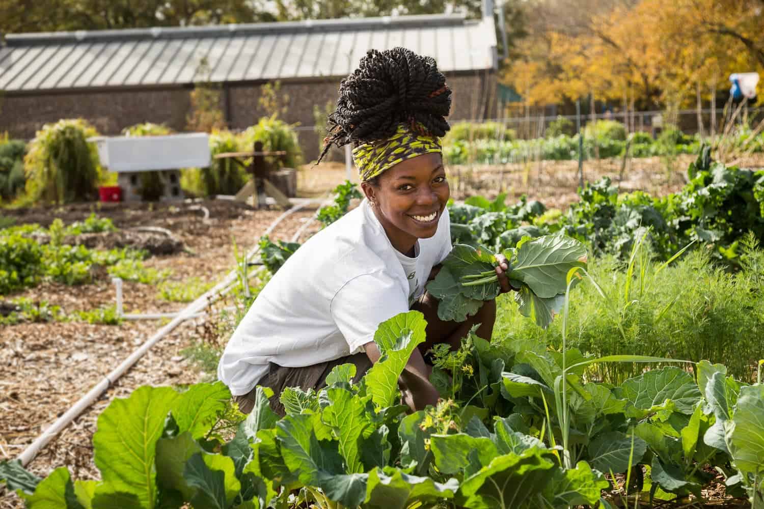The Youth in Agriculture and Skills Development (YASD-KILOSA) project 